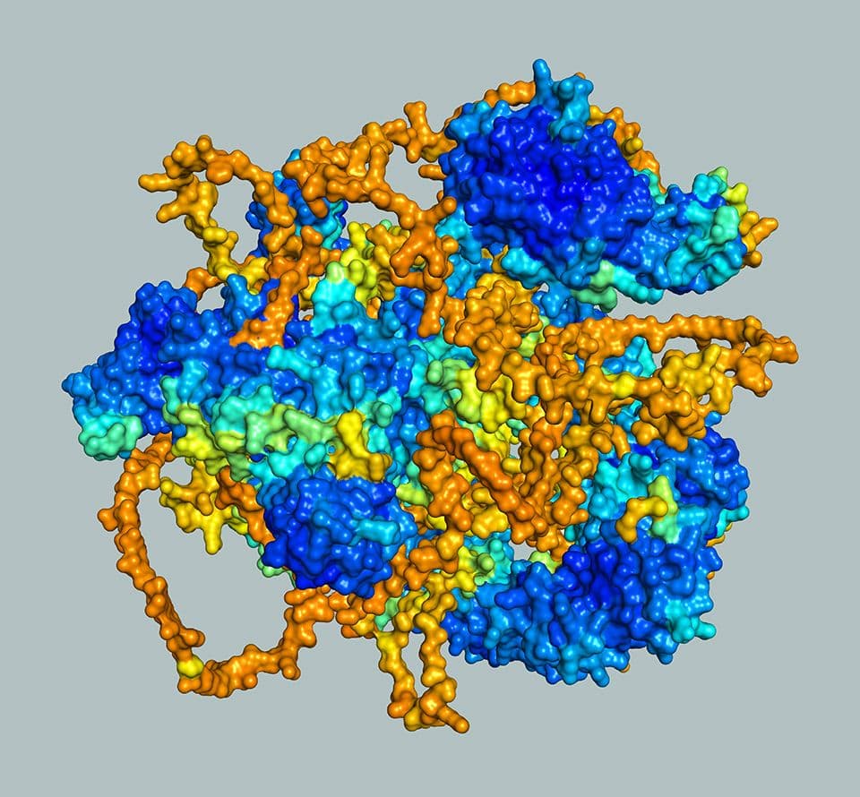 3D rendering of an E3 ubiquitin ligase