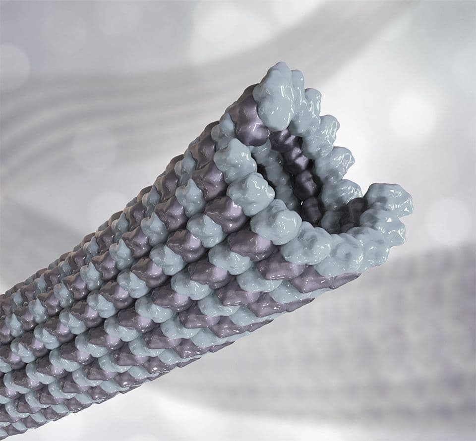 3D rendering of a microtubule