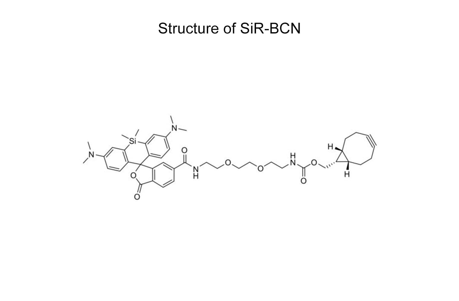 product-CY-SC017